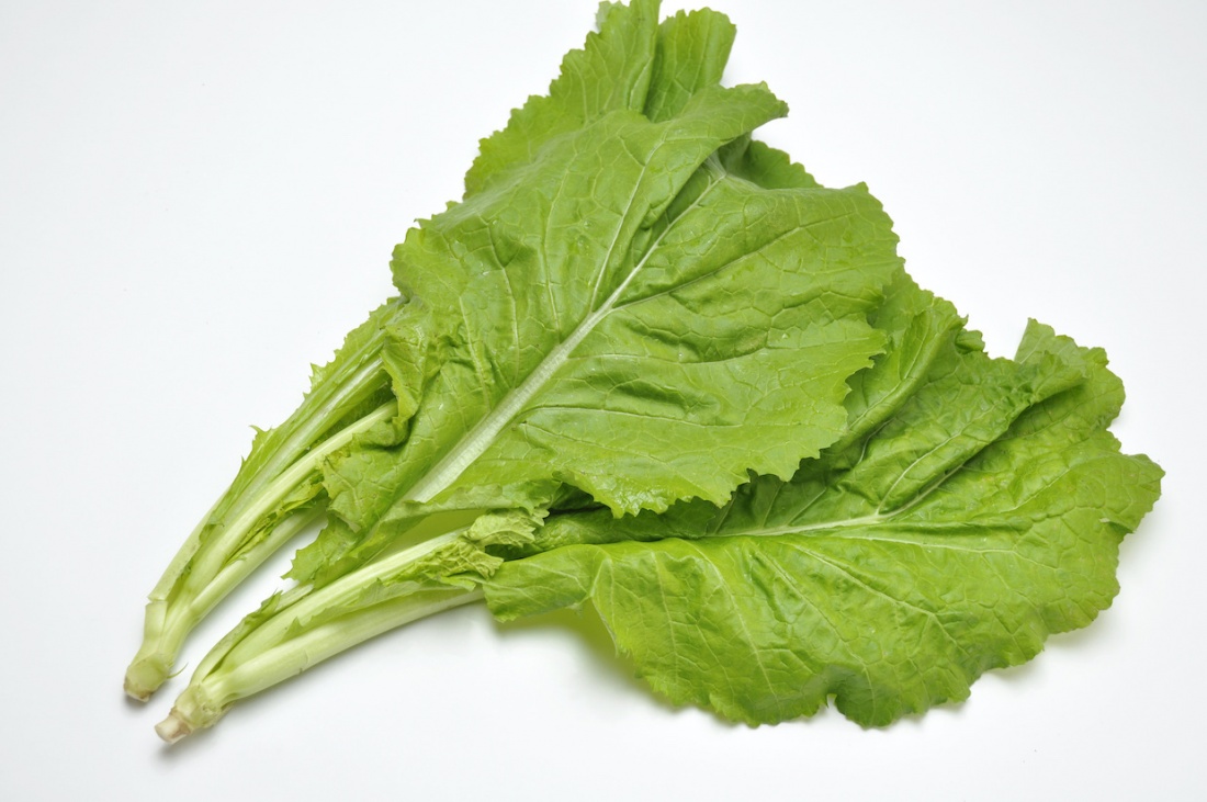 からし菜(カラシナ)