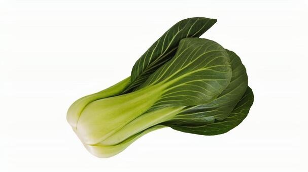 チンゲンサイ（青梗菜）